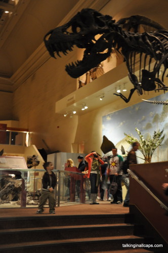 Museum of Natural History