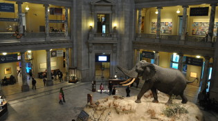 Museum of Natural History