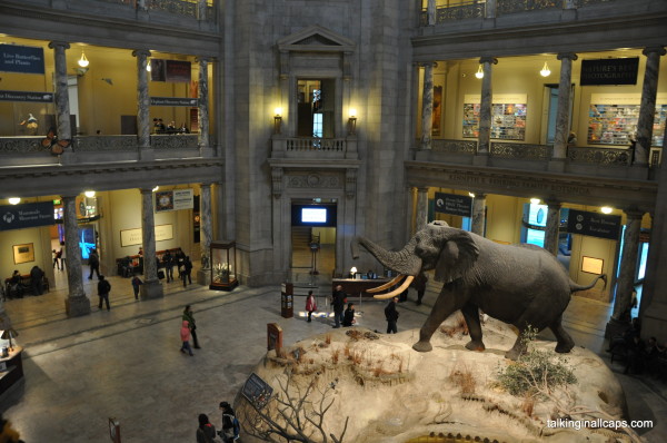 Museum of Natural History