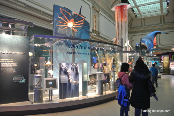 Museum of Natural History