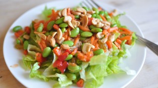 Chicken Edamame Salad With Miso Dressing