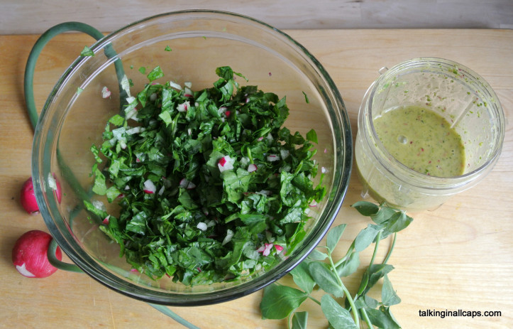 Garden Salad with Lemon Herb Dressing