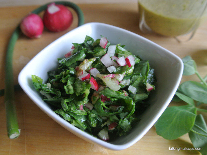 Garden Salad with Lemon Herb Dressing