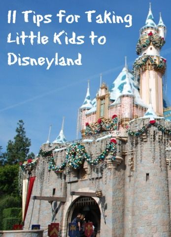 Disneyland with a Toddler and a Preschooler