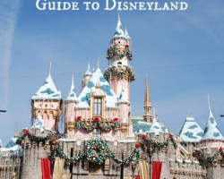 The Shy (or Cautious) Kid's Guide to Disneyland