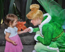 Disneyland Photography Tips - 11 Tips for Getting Great Photos Your Family Will Treasure