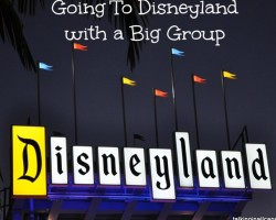 Disneyland with a big group