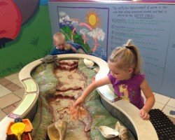 Children's Museum of Montana