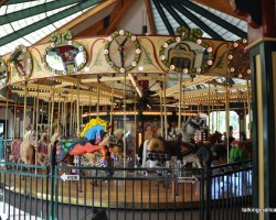 A Carousel for Missoula Review – Missoula, Montana A Carousel for Missoula Review - Missoula, Montana