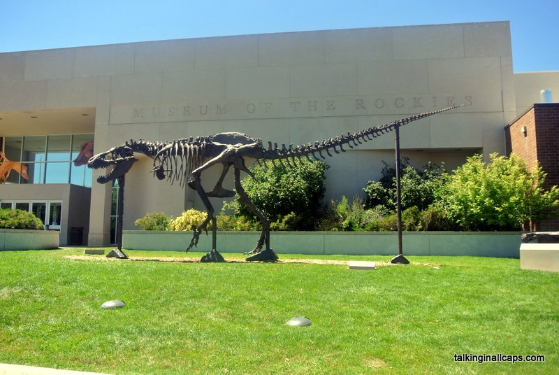 Museum of the Rockies Review Bozeman, Montana